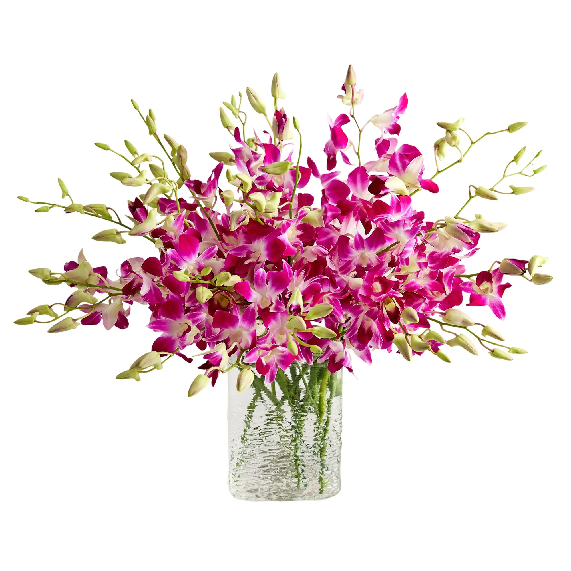 1800 Flowers – 20 Stem Exotic Breeze™ Orchids with Clear Vase