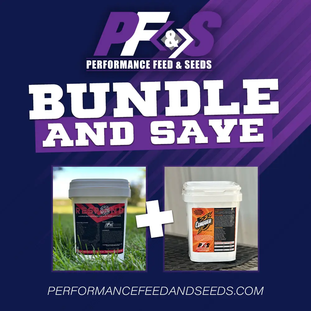 Respond-Conquer Bundle