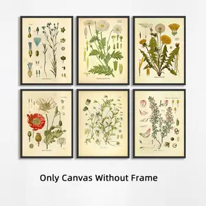 Set of 6 Unframed Vintage Botanical Floral Wall Paintings, Plant, Flower, Nature Wall Art, Room Decor, Waterproof Canvas Print Wall Art, Retro Artwork Wall Painting For Gift, Wall Picture for Living Room, Bedroom, Dining Room, Dorm, Home Decoration