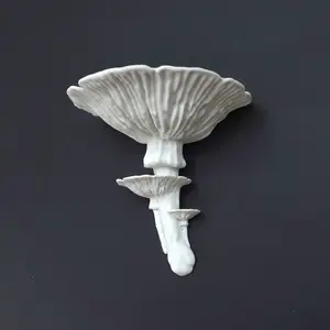 Amanita Fungus Mushroom Shelf designed by Gazzaladra with Cottagecore/Fairycore aesthetic Decor Shelves