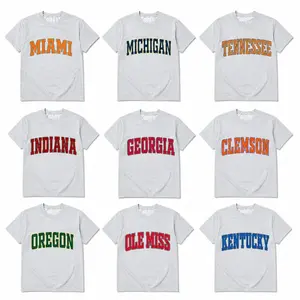 Vintage College Crewneck T-Shirt – Ash Grey, Custom University Team, Game Day Shirt, Back To School, Retro Varsity Style, Menswear & Womenswear