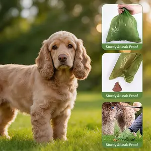 DGAPHRO Dog Poop Bags, 10 Rolls (150 Count) Thick Leak-Proof Lavender-Scented Green Sporty Gym Bags for Pet Outdoor Cleanup,Dealsforyoudays.