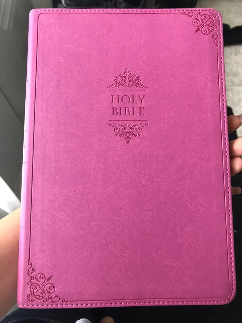 NIV Thinline Bible – Large Print, Pink Leathersoft, Comfort Print (Value Edition) Imitation Leather