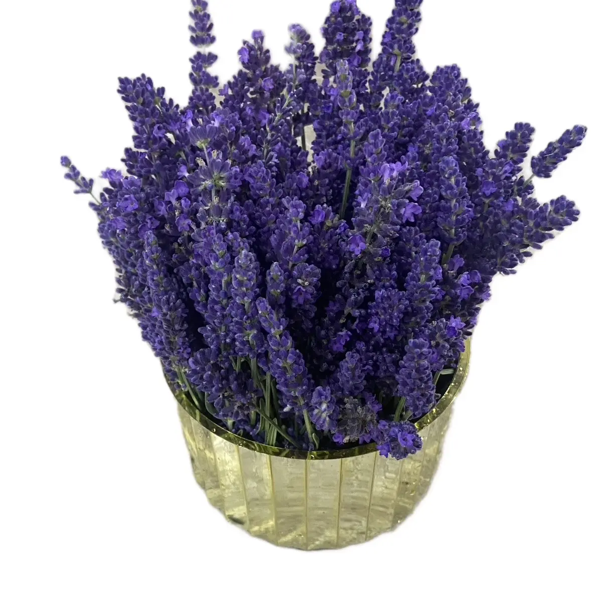 Lavender Meadows vase of dried lavender flowers