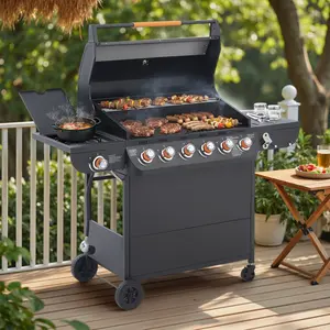 6 Burner BBQ Propane Gas Grill with Side Burner, 72000 BTU Outdoor Stainless Steel Barbecue Grill with Cast Iron Grates & Side Tables for Backyard, Patio & Kitchen