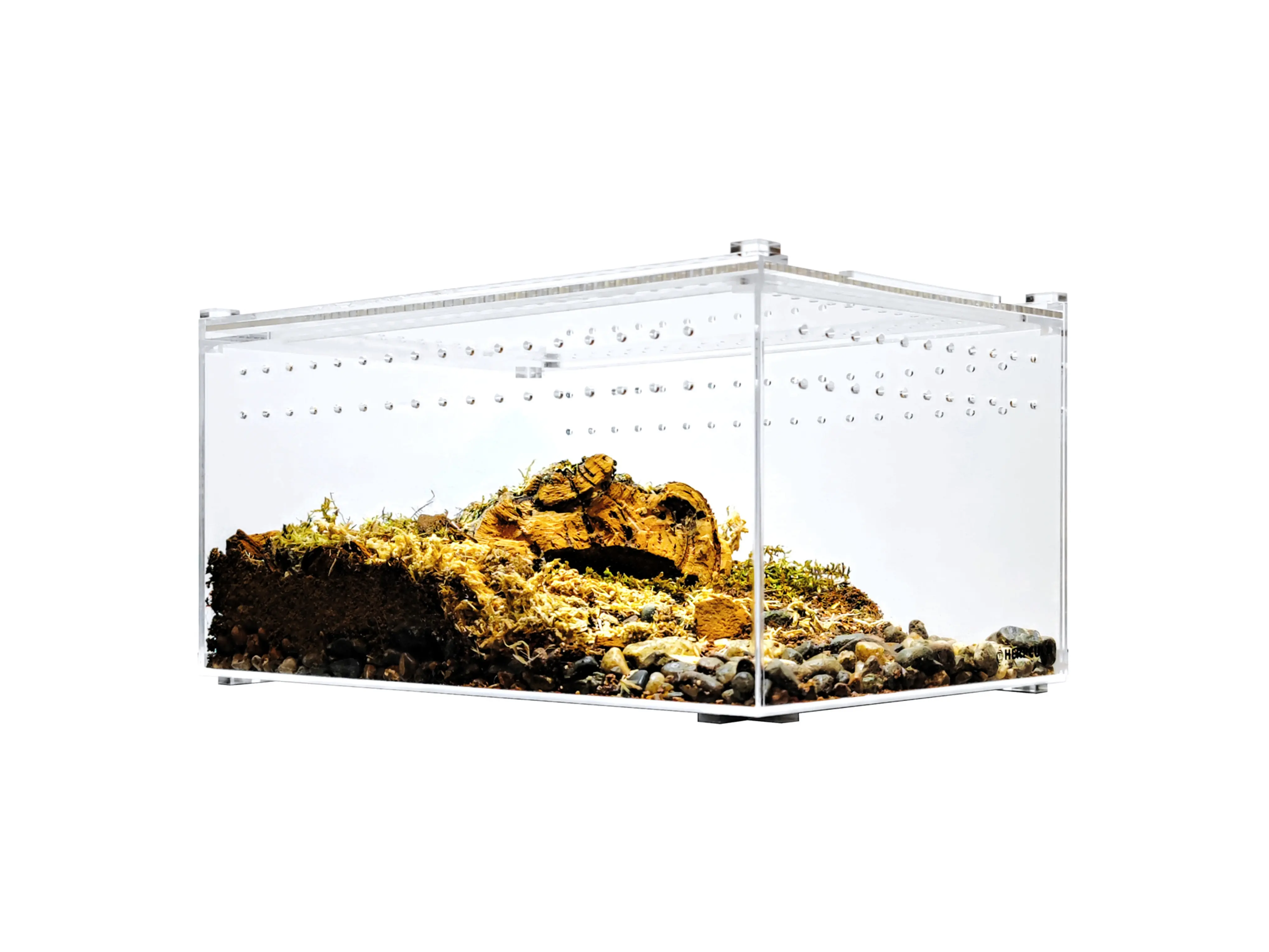 HerpCult Acrylic Enclosure - Large Flat Clear Top