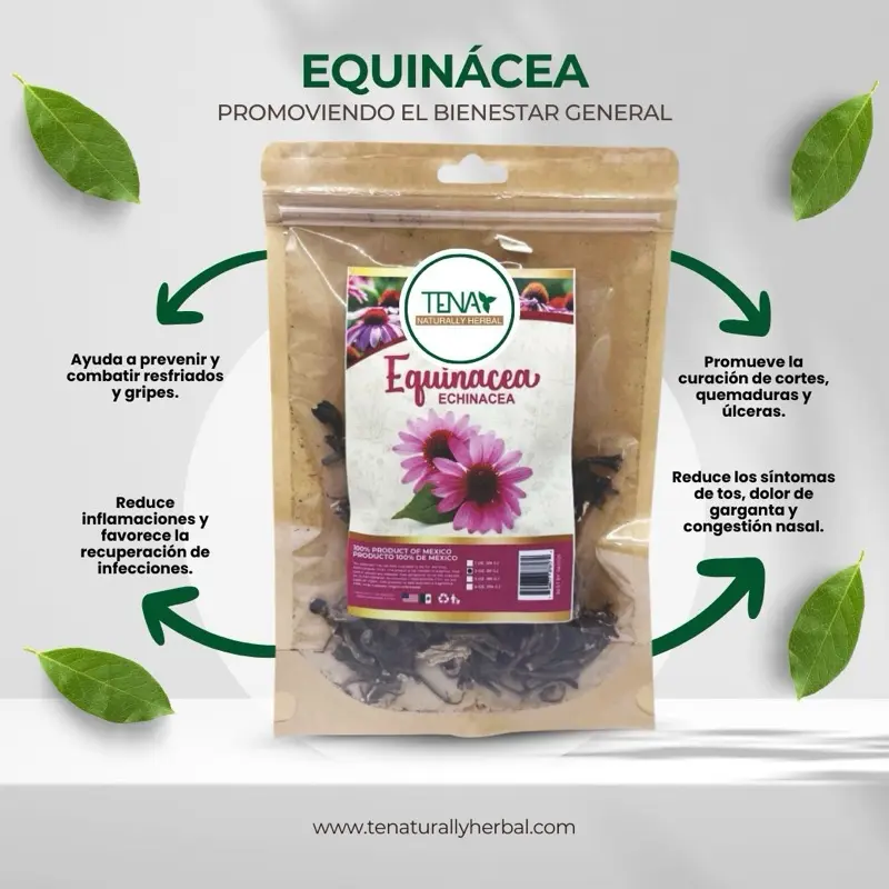 Premium Dried Echinacea Herbal Wellness Tea Bags - 4 oz Traditional Earthy Flavor Beverage, Immune Health Support, Caffeine-Free, Aromatic Infusion, Healing Promotion, Resealable Bag