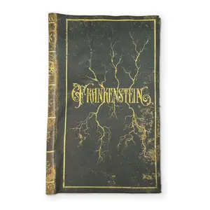 FRANKENSTEIN - A BOOK YOU CAN CLEAN YOUR GLASSES WITH