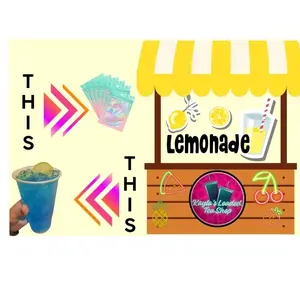 Lemonade Loaded Tea Bundle 10 LT Refreshing Drink Packs