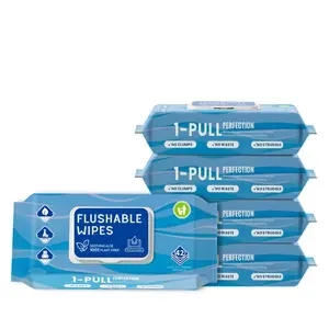 2 pack of Perfection Flushable Wipes 1-Pull 42 Count Soft Gentle on Skin Toilet 2Packs No Clumps No Waste No Struggle