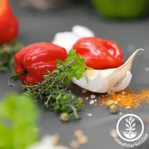 Pepper Seeds - Hot - Cienfuegos Red Hybrid