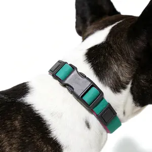 Premium TPU Dog Training Kit: Waterproof Leash and Sturdy Honeycomb Collar for Enhanced Performance poppy swivel