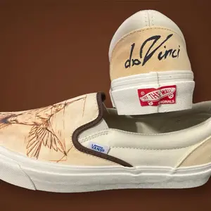 Da Vinci Vans custom