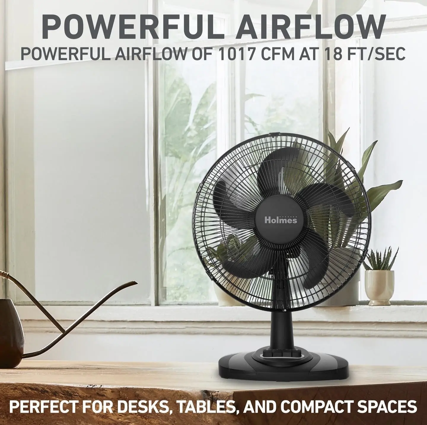 Holmes 12" Oscillating Table Fan
