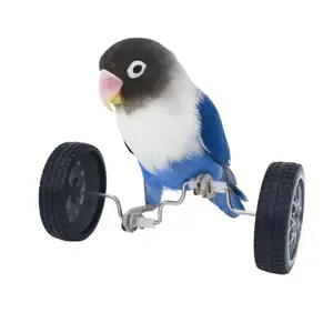 Parrot Balance Toy Birds Intelligence Training Interactive Toy