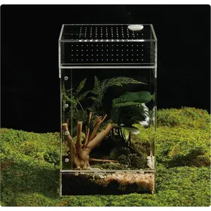 Acrylic Terrarium for Reptiles & Spiders – Small/Medium/Large Leak-Proof Enclosure (Horizontal/Vertical) | Ideal for Tarantulas, Jumping Spiders, Frogs & Geckos(Large, Vertical)