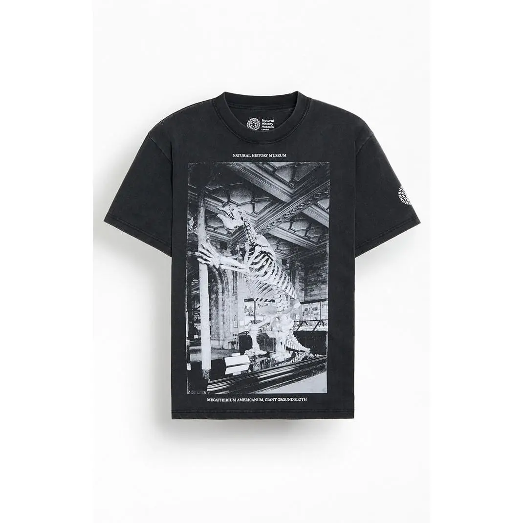 PacSun Men's NHM Dinosaur Fossil T-Shirt - Multicolor