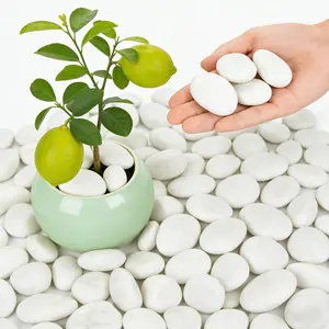 White River Rocks , High Polished Decorative Pebbles, Stones for Landscaping, Natural River Rocks for Outdoor Décor, Plants,Vase Filler,Fish Tank