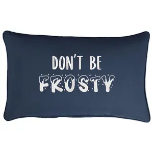 Sorra Home Don't Be Frosty Embroidered Sunbrell a Pillow