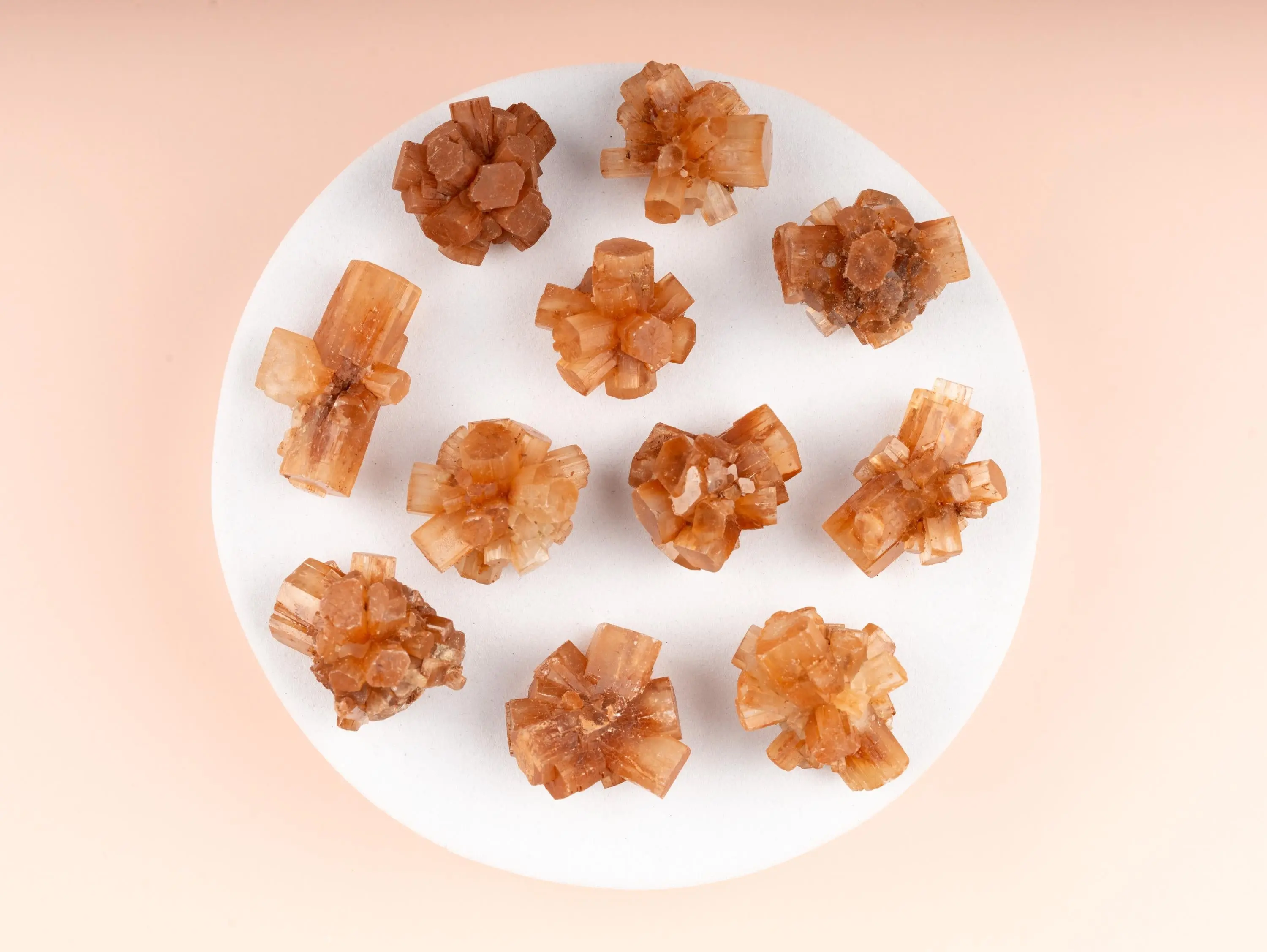 Mini Argonite Star Cluster 0.75-1.5", Natural Raw Healing Crystals for Grounding, Protection, Meditation, Crystal Decor, Chakra Healing