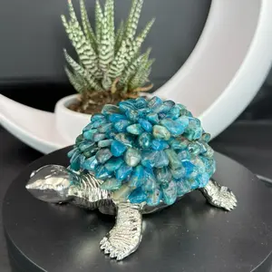 Blue Apatite Chip Turtle