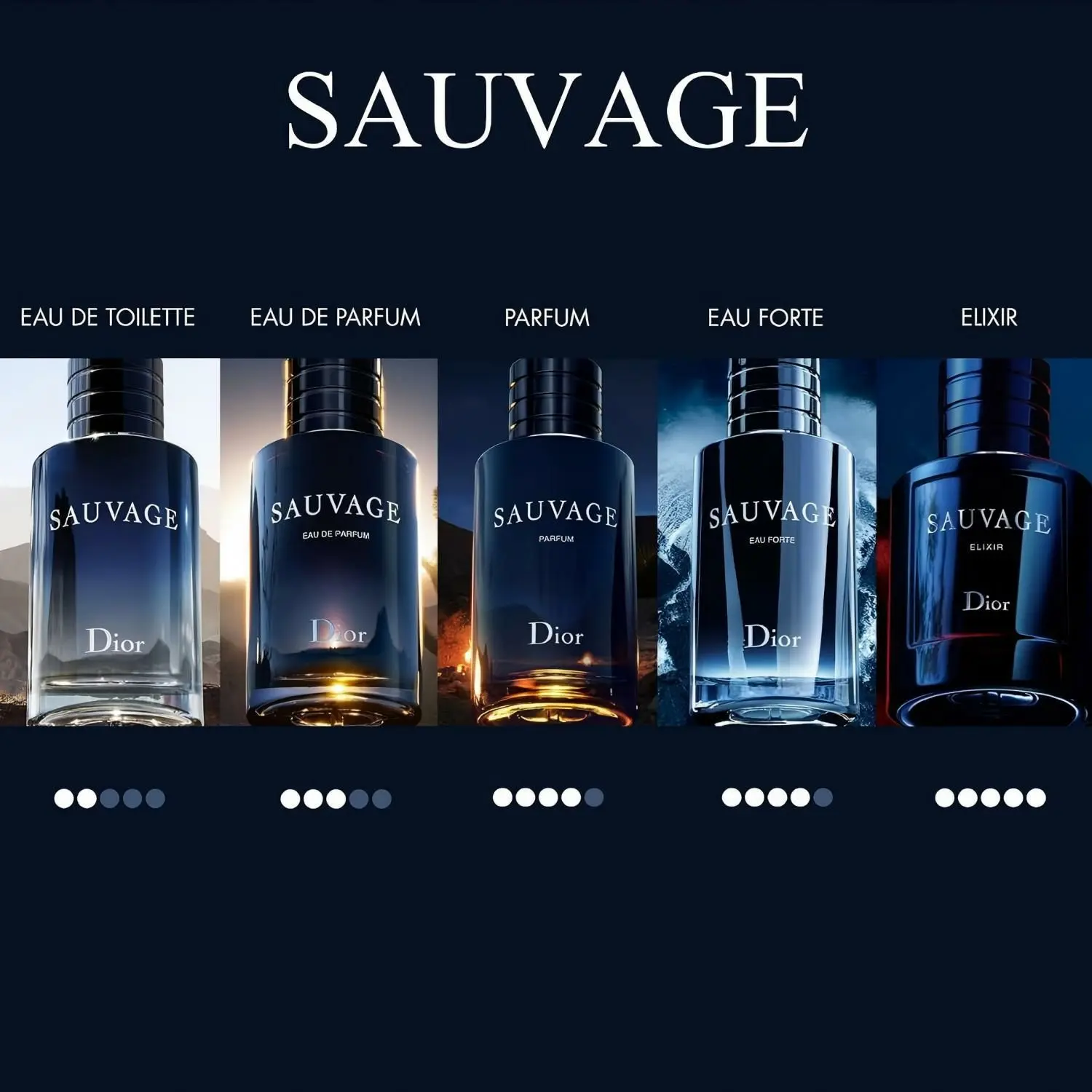 Dior Sauvage Collection for Men - Eau de Toilette, Eau de Parfum & Parfum Fragrances