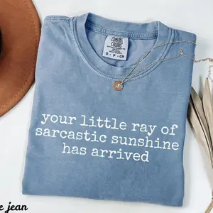 Comfort Colors Your Little Ray of Sarcastic Sunshine Has Arrived TShirt, Funny T-Shirt, Sarcastic Tee, Humor TShirt, Trendy Womens Shirt
