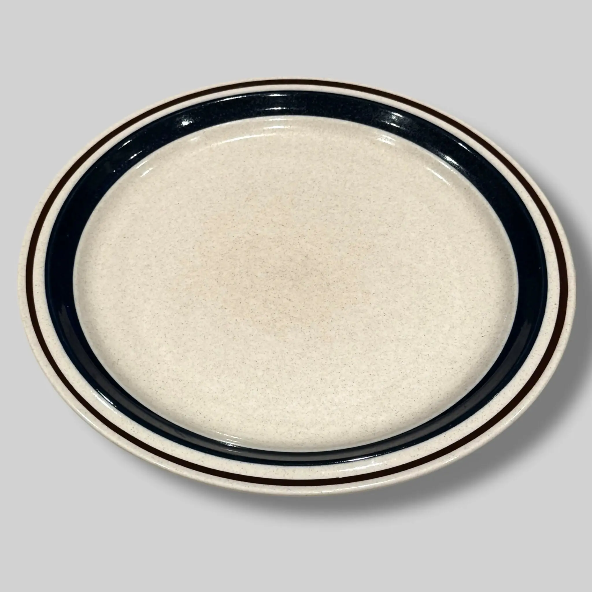 Contemporary Chateau | 10 5/8” Stoneware Dinner Plate | Vintage
