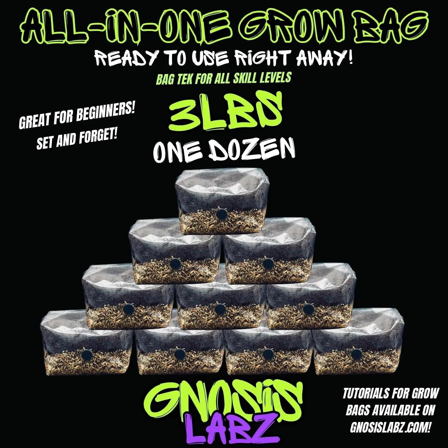 12-Pack 3 lb All-in-One Mushroom Grow Bags | Injection Port + Filter Patch