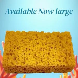 Seaweed Large Rectangular Sponge for DIY Purpose Use - Perfect for Crafting & Cleaning