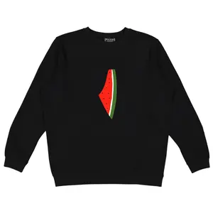 Freedom Melon Crewneck