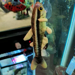 Black Neon Tetra Plush