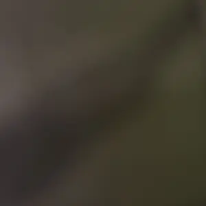 review image 9