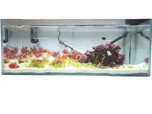 Complete 48" Rimless Show Aquarium (Delivered and Installed!) - Includes aquarium, stand,  filter, heater, planted aquarium LED lights, hardscape, substrate, and more!  Fully customizable!