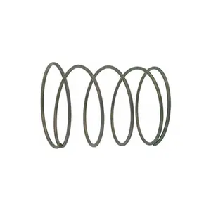 Faema Steam Valve Knob/Exhaust Valve Spring