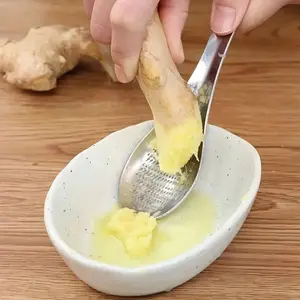 Stainless Steel Ginger Grating Spoon, Manual Garlic Masher, Kitchen Gadget for Mash Garlic and Ginger, Durable Cookware Accessories, Kitchen Cooking