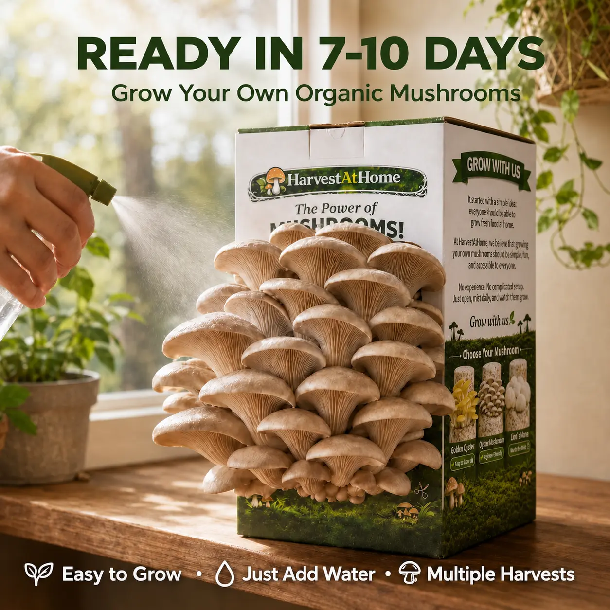 【Summer】Organic Oyster Mushroom Grow Kit 3.5 lb  | 1-7 Days Harvest | Easy to Grow Indoor | No Soil/Sun Required, Multiple Harvests | USDA Organic | Non-GMO | Made in USA | Perfect for Home Kitchen & Gardening EnthusiastsGift for Adults & Kids