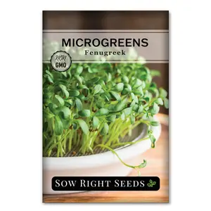 Microgreens Fenugreek