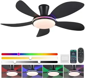 Low Profile RGB Ceiling Fans with Lights and Remote/APP,48 Inch Modern LED Ceiling Fans with Quiet Reversible DC Motor, Dimmable 6 Speeds Can be used in the bedroom