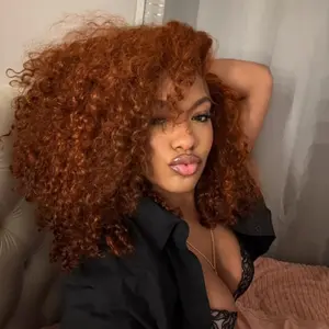 [250% Density] Alipearl Wigs Side Part Copper Color Deep Wave 13x6 Front Lace Wig Human Hair Ready To Go Glueless Wigs Pre Bleached Pre Cut Lace For Black Women#Spring 2026