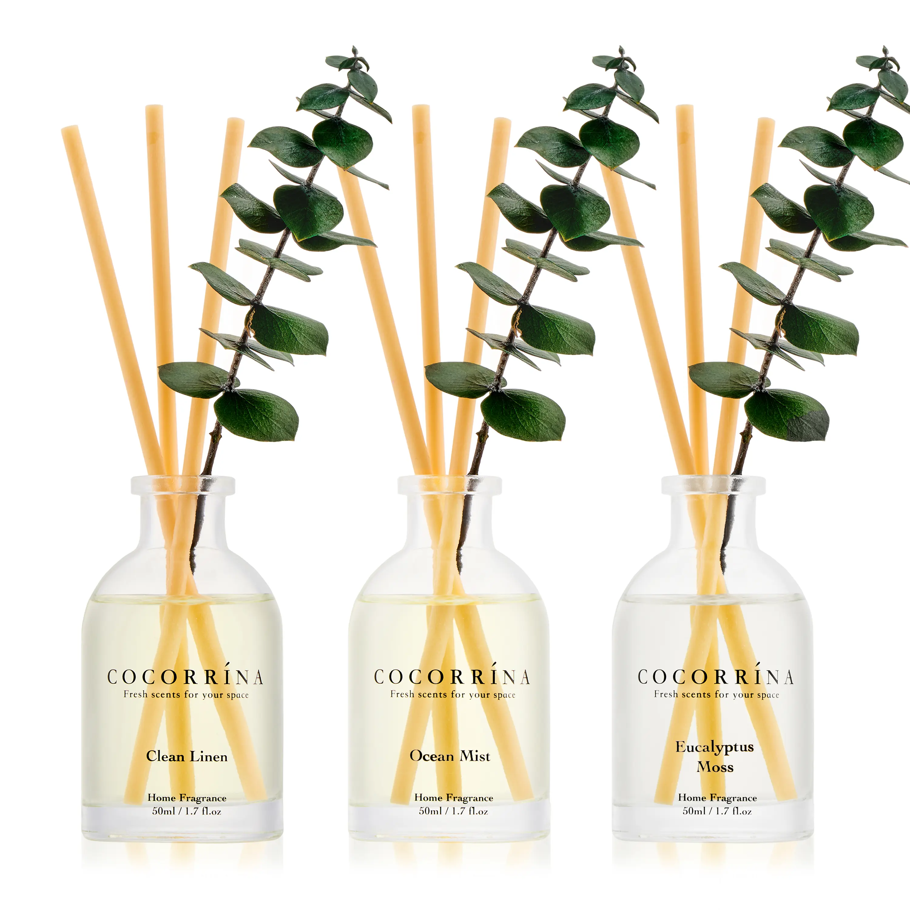 COCORRÍNA Eucalyptus Reed Diffuser Set of 3 - Eucalyptus & Moss, Clean Linen, Ocean Mist Scents, 1.7 fl oz Each, Total 5.1 oz, Scented Oil Diffusers for Home & Office