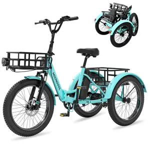 ABORON TK1 Electric Tricycle for Adults,48V 20" Folding Electric Trike Peak Power 750W, 3 Wheels E-Bicycle Aluminum Frame with Large Basket and Removable Battery