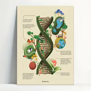 1 Framed Canvas Poster "Biodiversity" Nature and Us Wall Art - Wood Frame, Vibrant DNA Helix Design with Lush Greenery, Educational Facts, Perfect for Living Room, Bedroom, or Hallway Decor -Hallway Decoration | Vibrant Decorative Ornaments Photo