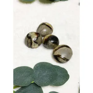Septarian Crystal