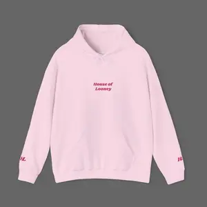 Pink Modern Embroidered Hoodie