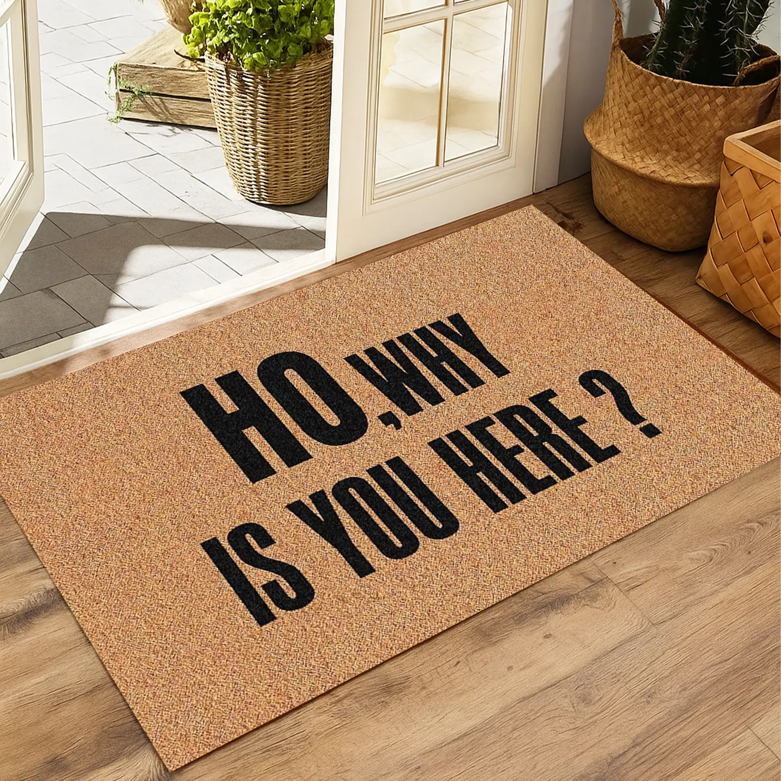 Funny Doormat "Ho, Why Is You Here?" Welcome Mat for Front Door, Sarcastic Outdoor Entrance Rug for Porch, Entryway, Patio, or Deck, Durable Indoor Outdoor Doormat, Unique Housewarming Gift for Friends, Easy to Clean Home Decor