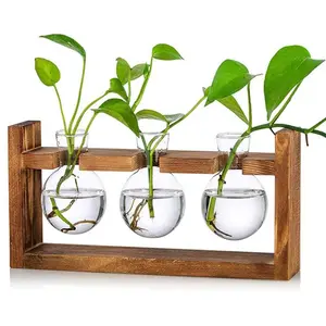 Wooden Hydroponic Plant Stand with 3 Round Glass Vases – Propagation Station for Indoor Plants, Office Desk & Home Decor – Great Gift for Garden & Plant Lovers