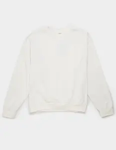 THE NORTH FACE Evolution Simple Dome Mens Oversized Crewneck Sweatshirt