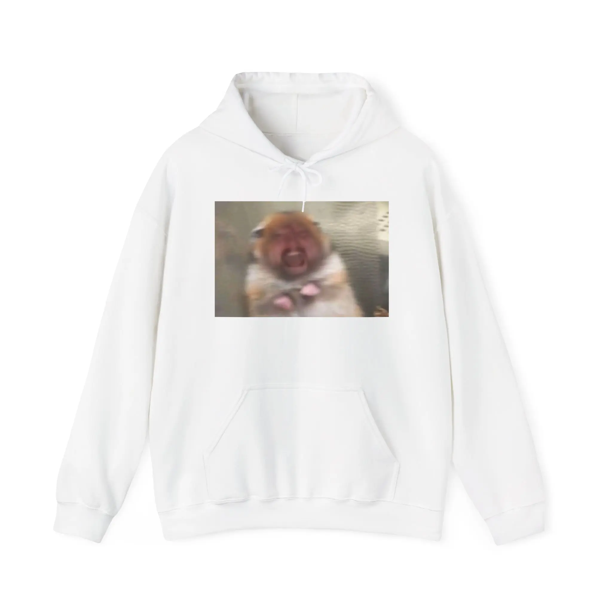 Caseoh Funny Hamster Hoodie | Meme Sweatshirt