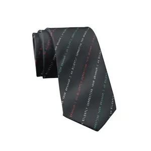 I'm Silently Correcting Your Grammar Necktie Funny Neckties for Men Nerdy Tie Mens Novelty Neckties Funny Ties